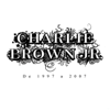 Charlie Brown Jr. - De 1997 a 2007  arte