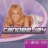 If I Were You (DJ Puddy vs. Mark Simon remix) - Single