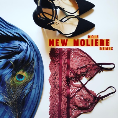 New Moliere (feat. Moiz Vibe) - Single