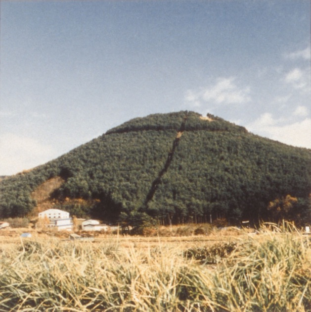 レコード　奥田民生　股旅　アルバム 奥田民生 – 股旅 – CD (Album), 1998 [r10424430] | Discogs
