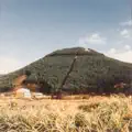 Sasurai