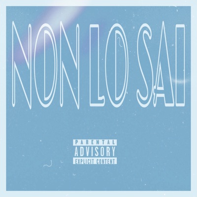 Non Lo Sai (feat. Cay la Vie, Vinnyboymisfit & FTG K4sh) - Single