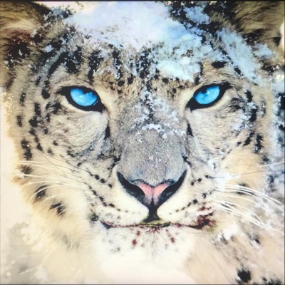 In for the Kill - EP