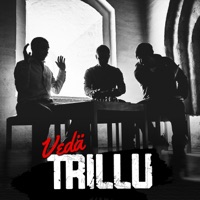 Vedä Trillu - Trilluminati