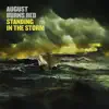 Stream & download Standing In The Storm - Single
