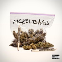 Nickel Bags (feat. Aaron Cohen) - Single - Nick Dellas