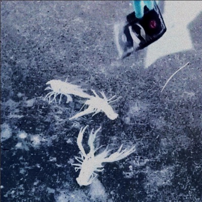 DOG FIGHT (feat. Moon Wok) - Single