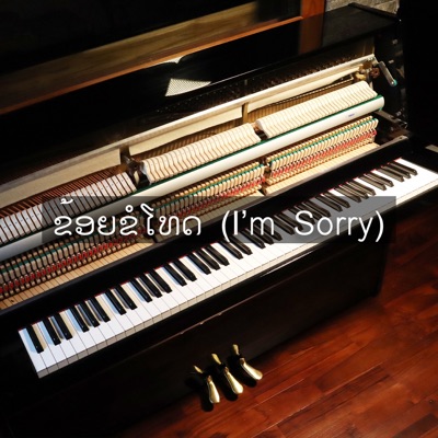 I'm Sorry - Single