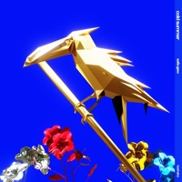 Cold Summer - Single - Safa Gaw & Kashaka