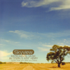 Skyview - Jim Stern & Kent Henry