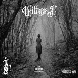 Lost Wither J