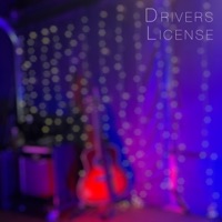 Drivers License - Single - Future Sunsets & David Michael Frank