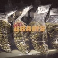 400 Grams - Single - Armor
