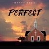 Perfect - Single