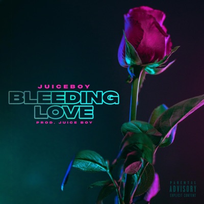 Bleeding Love - Single
