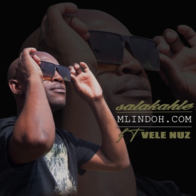 Salakahle (feat. Vele Nuz) - Single