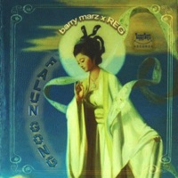 Falun Gong (feat. Rhyme Equals Greatness) - Single - Barry Marz