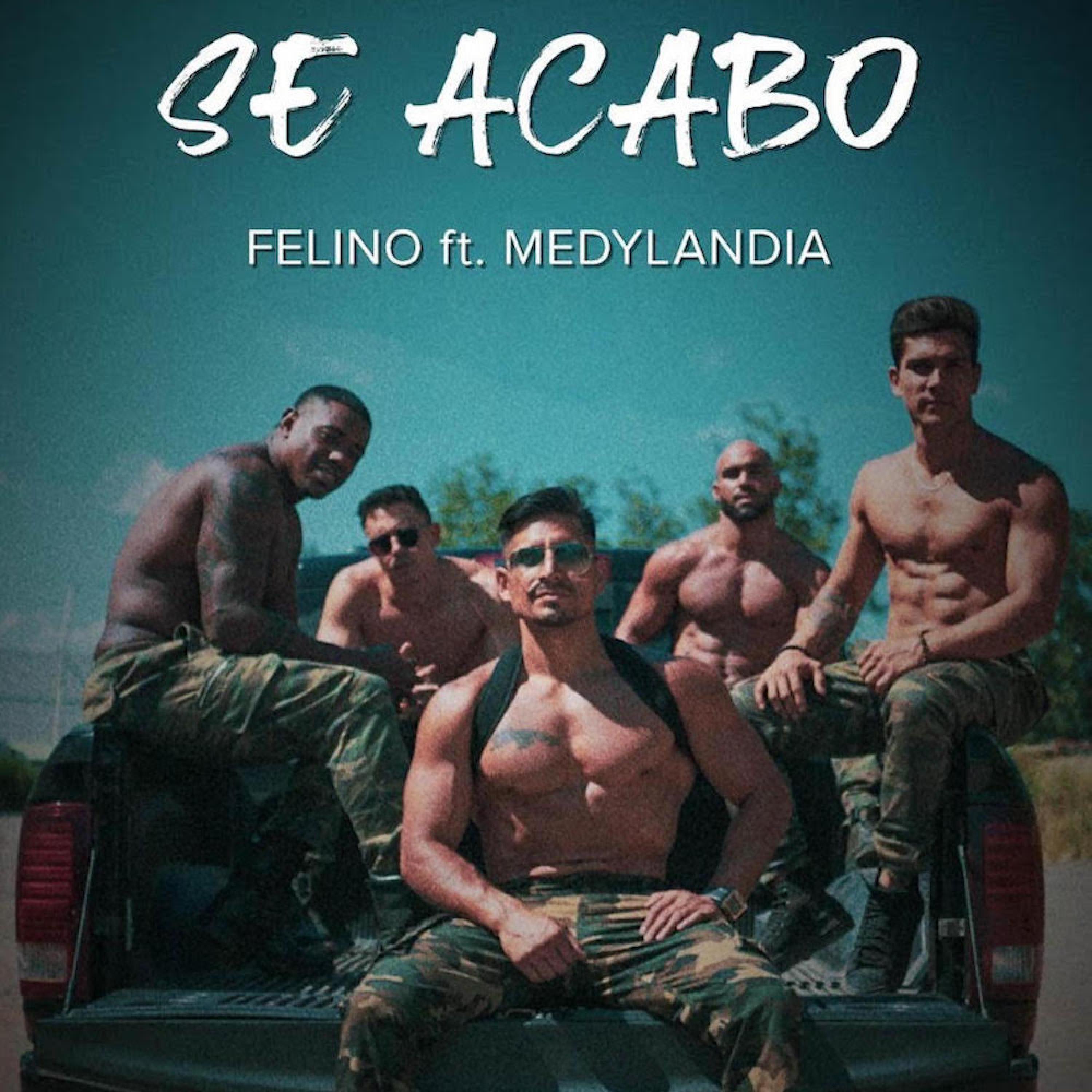 Se Acabo (feat. Medylandia) - Single