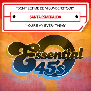 Don't Let Me Be Misunderstood / You're My Everything (Digital 45) - Single