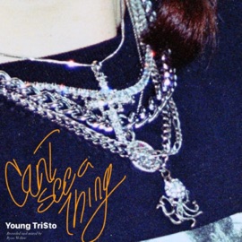 Can't See a Thing Young Tri$to