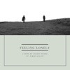 Feeling Lonely (feat. Fireplaylist) - Single