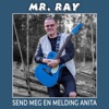 Send Meg En Melding Anita - Single