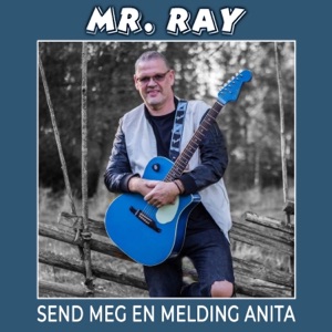 Send Meg En Melding Anita - Single