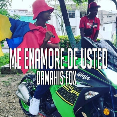 Me Enamoré de Usted - Single