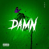 Damn - Single - LEX