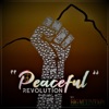 Peaceful Revolution (feat. Quino, Saxman Jerry & Raingad) - Single