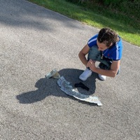 Dope - Single - Db Bankroll