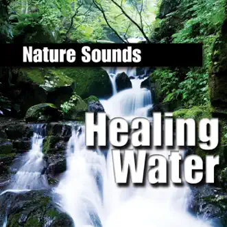 Comforting Ocean Waves by Nature Sounds song reviws