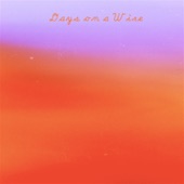 Case - Days on a Wire