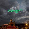 Wonogiri Dadi Cerito - Single