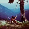 When You Dream