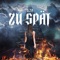 ZU SPÄT artwork