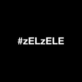 #zELzELE artwork