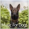 Dream State - Dog Music Dreams, Dog Music & Dog Music Therapy lyrics