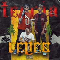 Tercia de Reyes - Single - Yazar