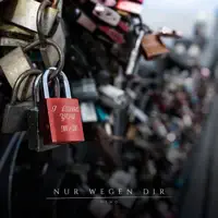 Nur wegen dir