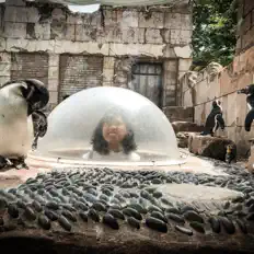 Escucha a FIYA, mira videos musicales, lee su biografía, consulta las fechas de las gira y más.