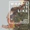What's It Like - Pixie Labrador lyrics