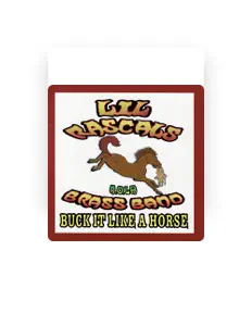 Listen to Lil Rascals Brass Band, watch music videos, read bio, see tour dates & more!
