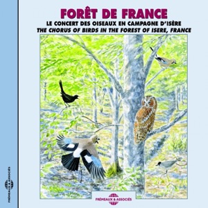 Forêt de France : Le concert des oiseaux en campagne d'Isère
