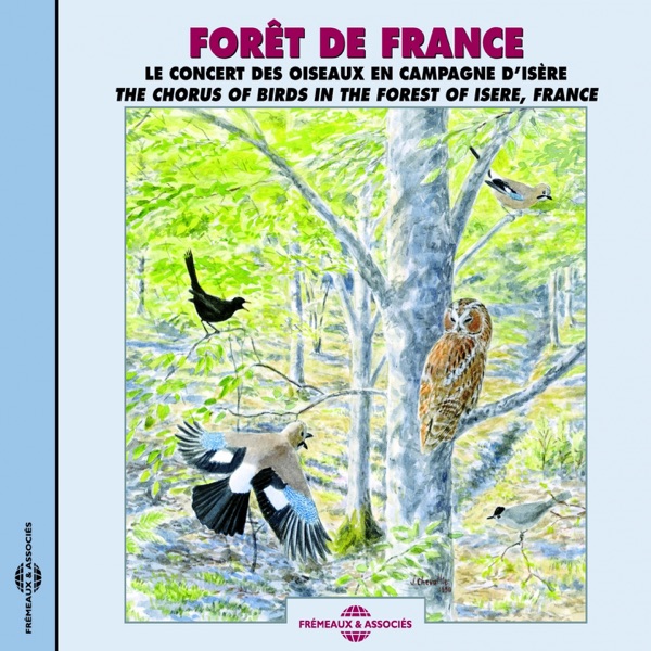 Forêt de France : Le concert des oiseaux en campagne d'Isère