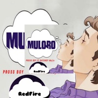 Muloro (feat. Batondy) - Single - Pross Boy
