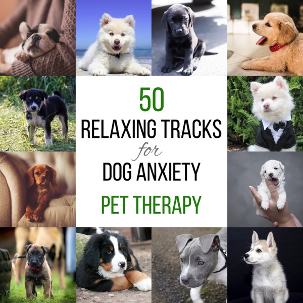 50 Relaxing Tracks for Dog Anxiety: Pet Therapy, Calming Music, Harmony and Peace, Animal Reiki, Holistic Healing