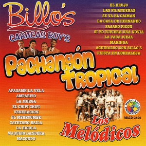 Pachangon Tropical