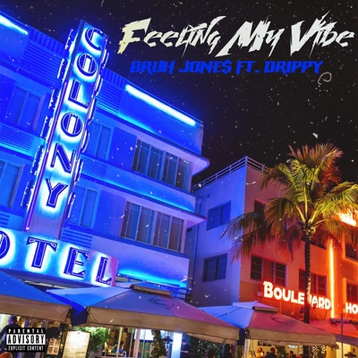Feeling My Vibe (feat. Drippy V) - Single