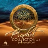 Prophet Collection, Vol. 7